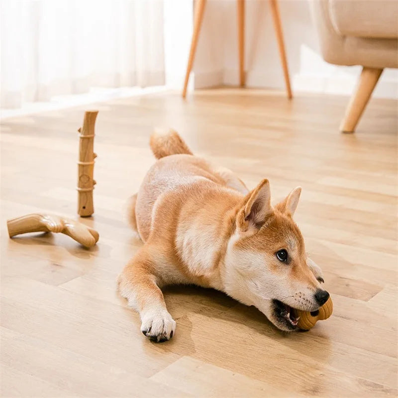 🌲 Pine Antler Chew Stick 🌲