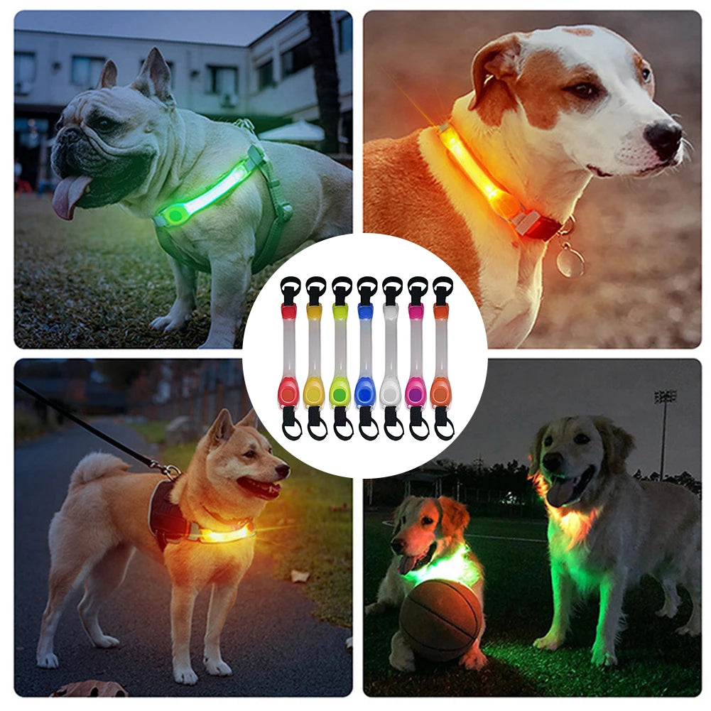 Dog Safety LED Glowing Collar 🐾