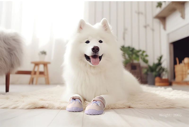 TruePaws Breathable Dog Shoes with TPR Sole