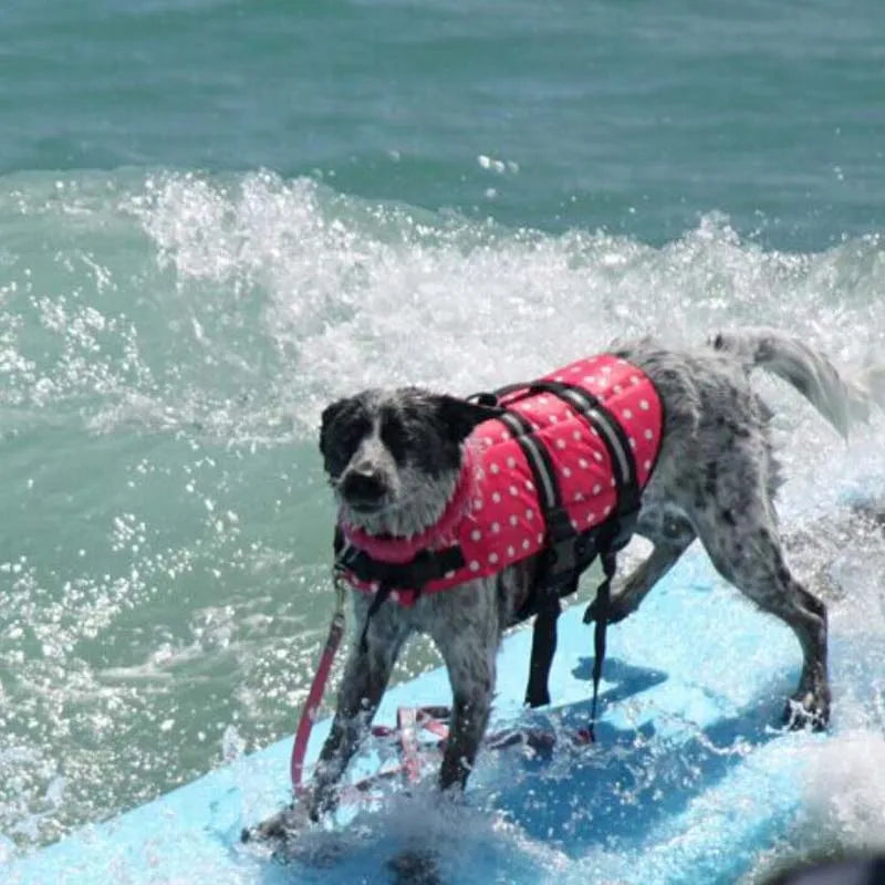 🐾 Summer Dog Life Vest Jacket 🐾