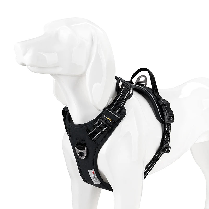 ✨ Truelove Brilliant Harness ✨