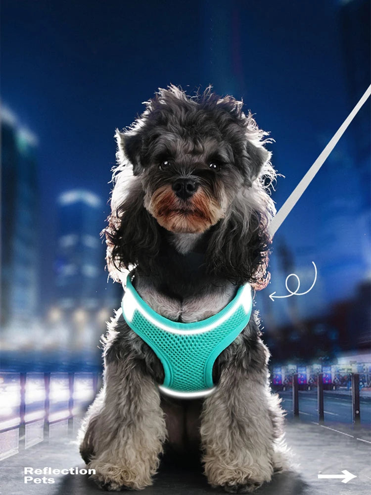 ✨ Breathable & Reflective Harness & Leash Set ✨