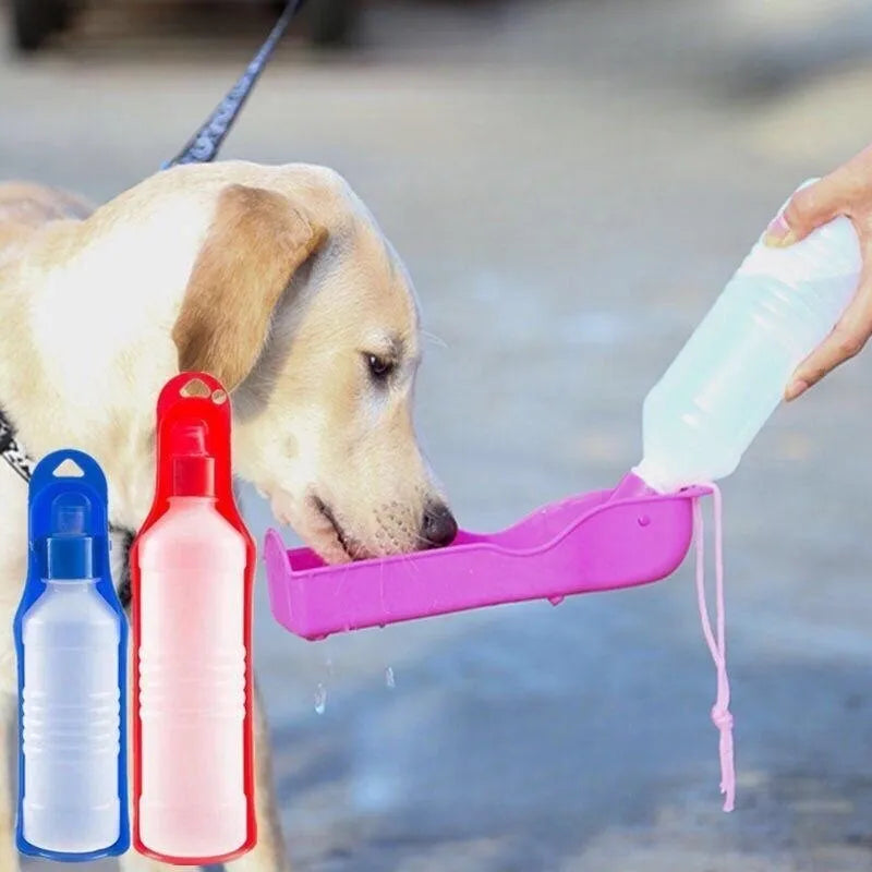 💦 Portable Water for Thirsty Pups! 🐶💧