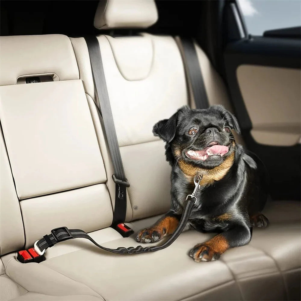 Reflective Retractable Dog Car Seat Belt Safety Leash 🐾