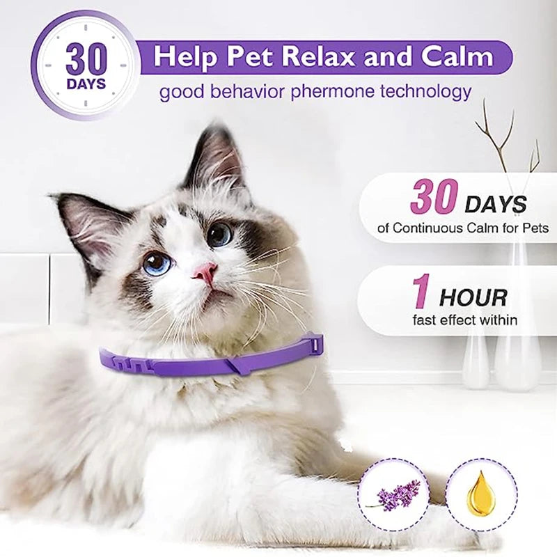 🐾 Calming Collar for Stressed Pets🐶