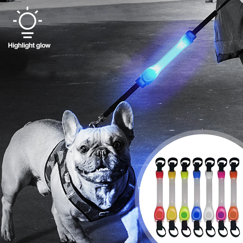 Dog Safety LED Glowing Collar 🐾