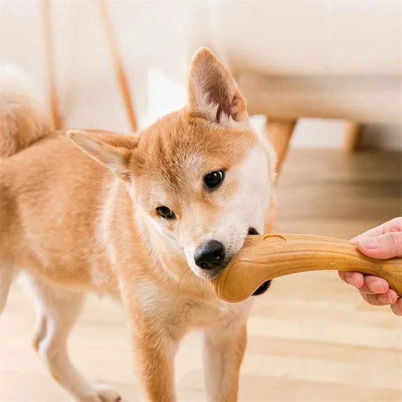 🌲 Pine Antler Chew Stick 🌲