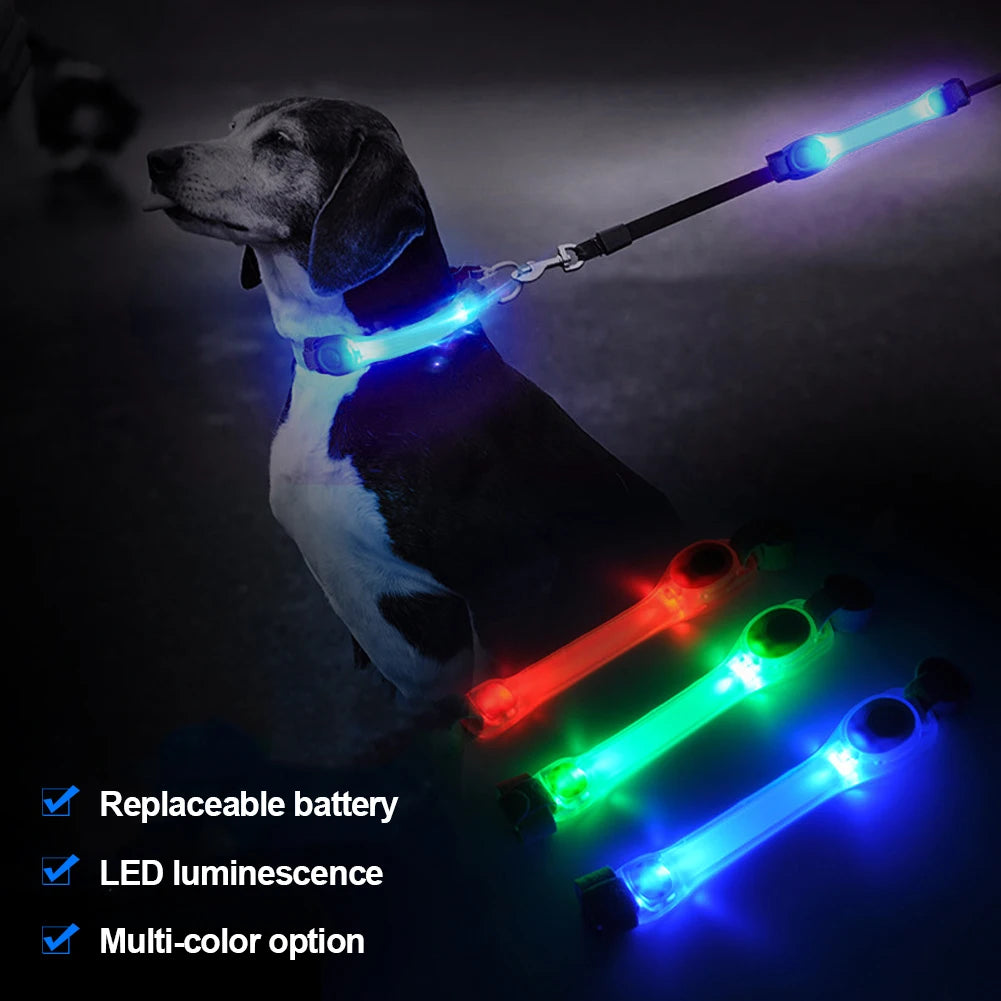 Dog Safety LED Glowing Collar 🐾