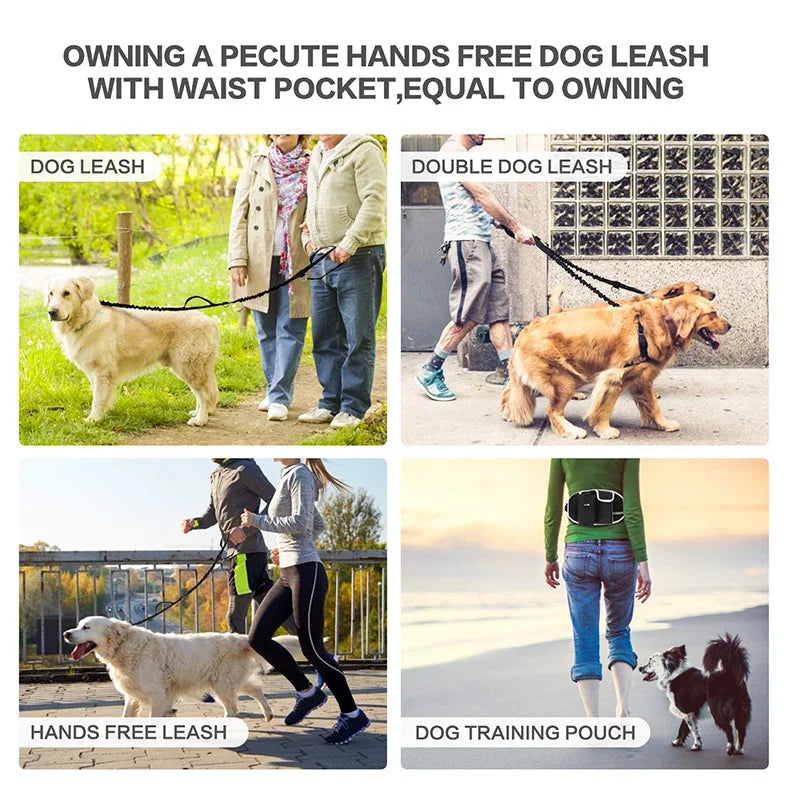 🦮 Hands-Free Walk & Train Pack 🐕‍🦺