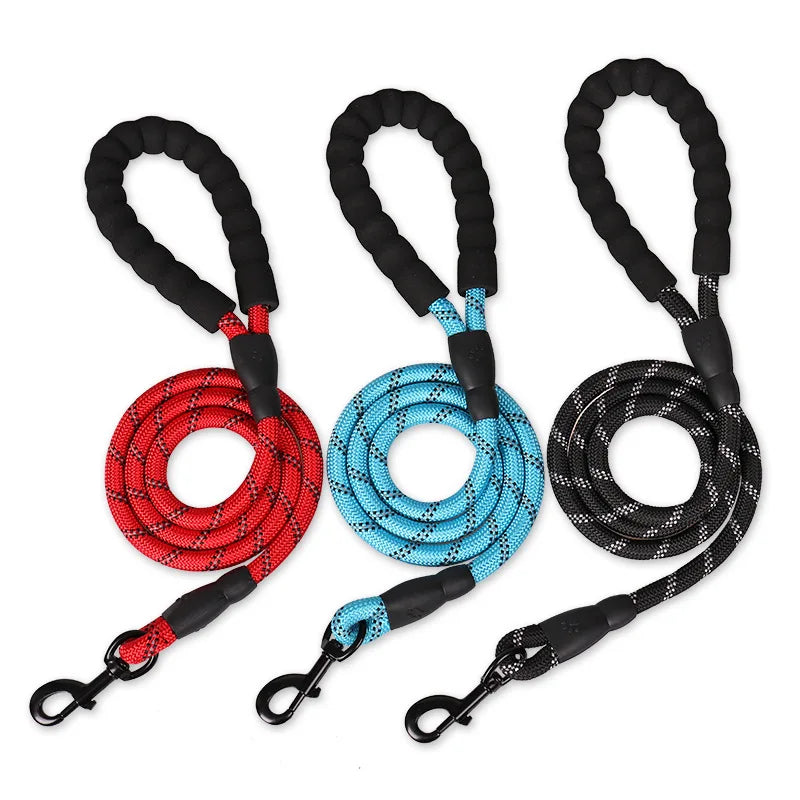 ✨ Walk & Play Harness & Leash Set ✨