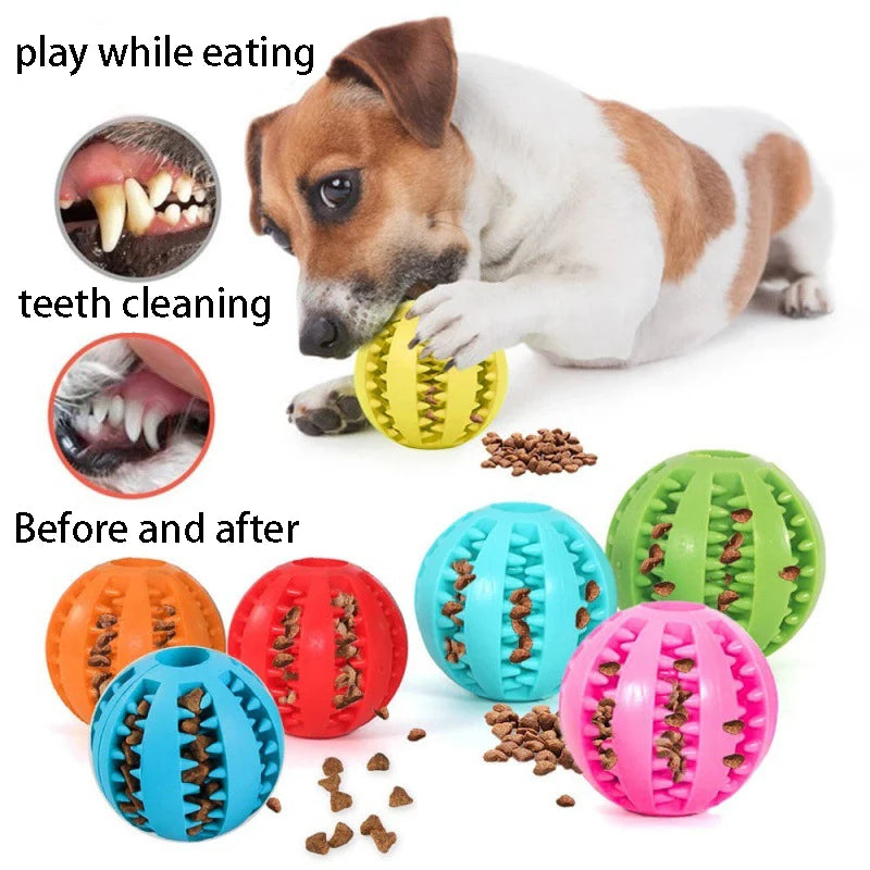 🦷 Bouncy & Bright Chew Ball 🎾