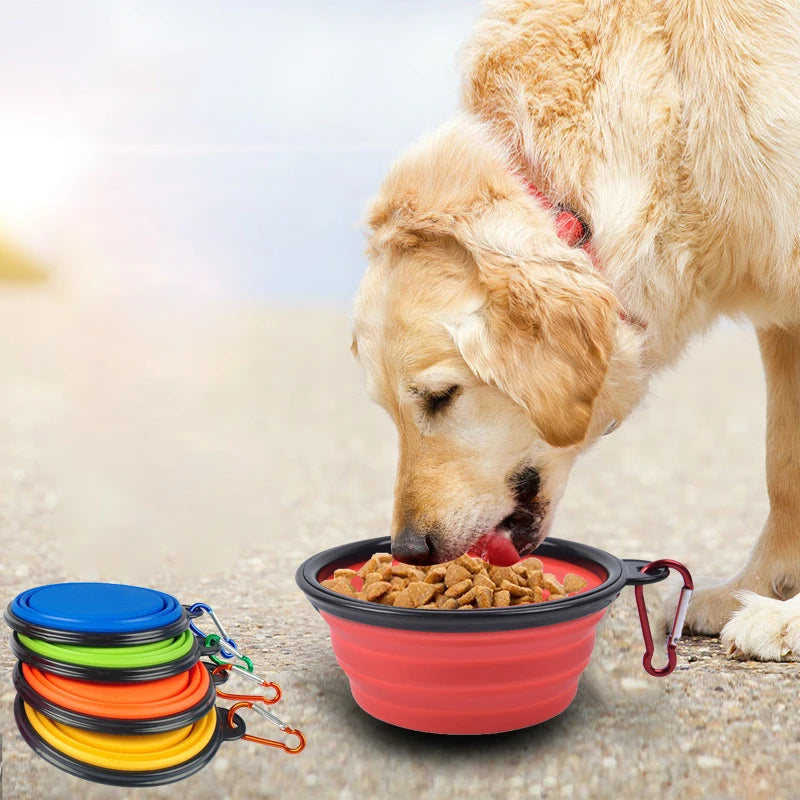 🏞️  The Collapsible Dog Bowl 🐶