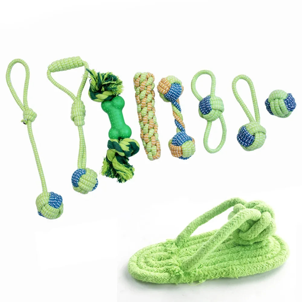 🧸 Play & Squeak Rope 🧸