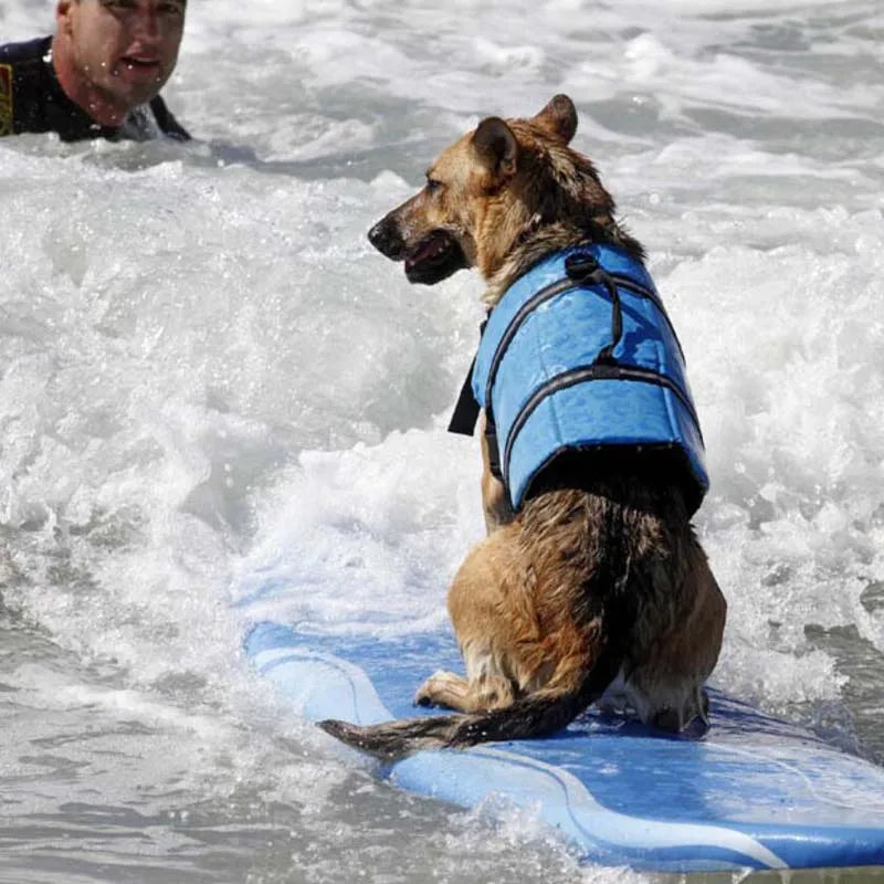 🐾 Summer Dog Life Vest Jacket 🐾