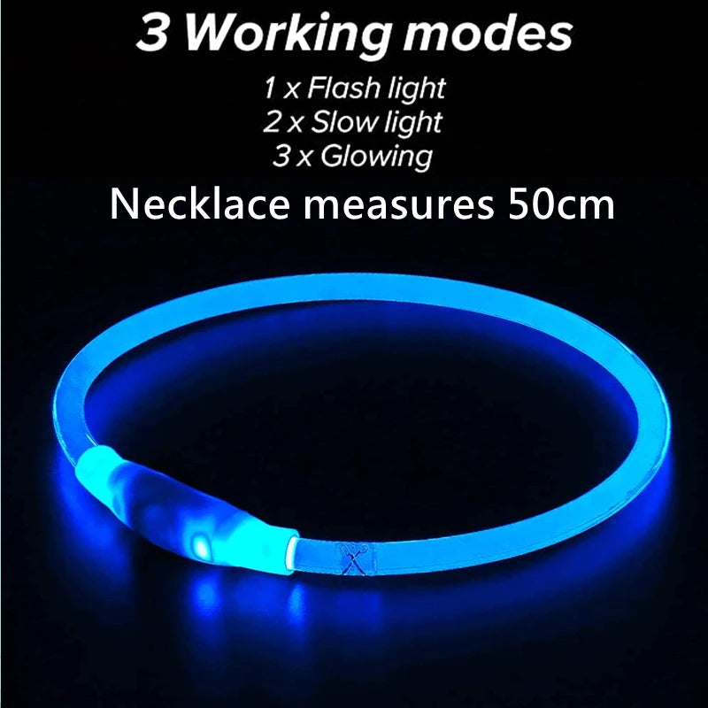 ✨ Night-Bright LED Collar ✨