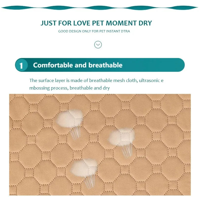 🐾 Dry & Snuggly Pet Mat ☁️