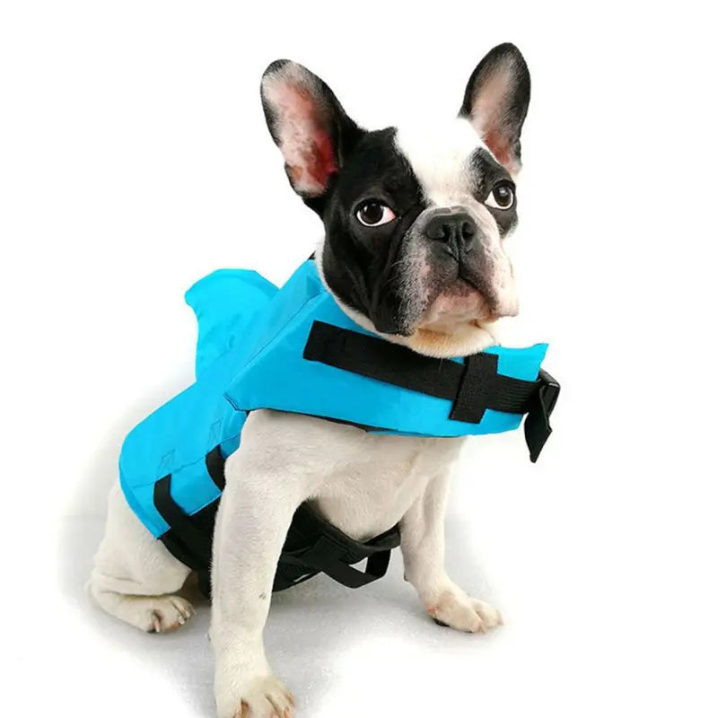 AquaPaws Dog Life Vest