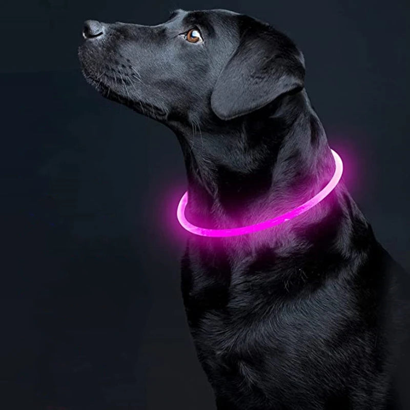 ✨ Night-Bright LED Collar ✨