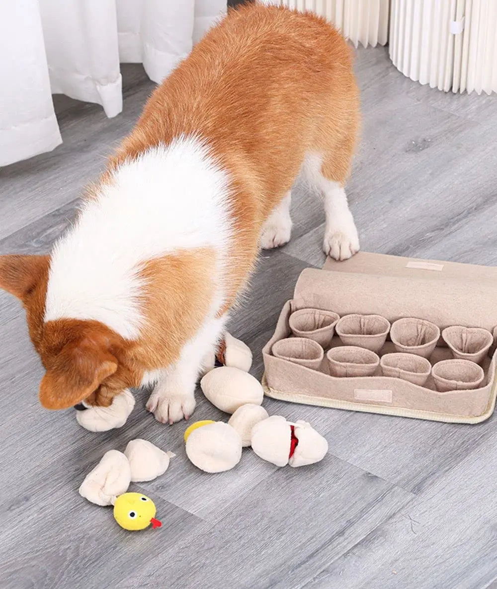 🍳 Egg-cellent Snuffle Mat 🥚