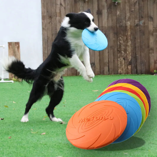 🥏 Bite-Resistant Flying Disc 🥏