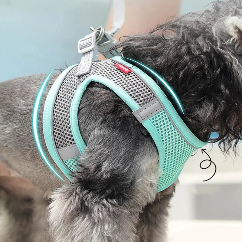 ✨ Breathable & Reflective Harness & Leash Set ✨