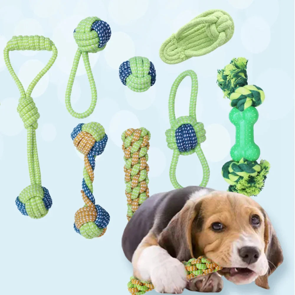 🧸 Play & Squeak Rope 🧸