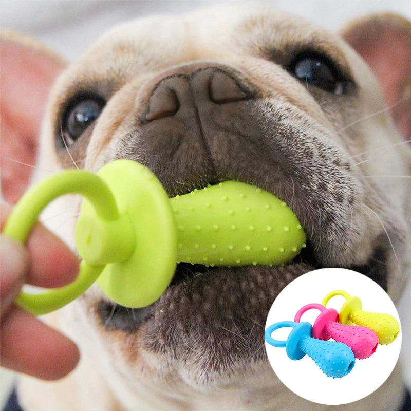 🦷 Squeaky Fun Ball for Small Dogs 🐶