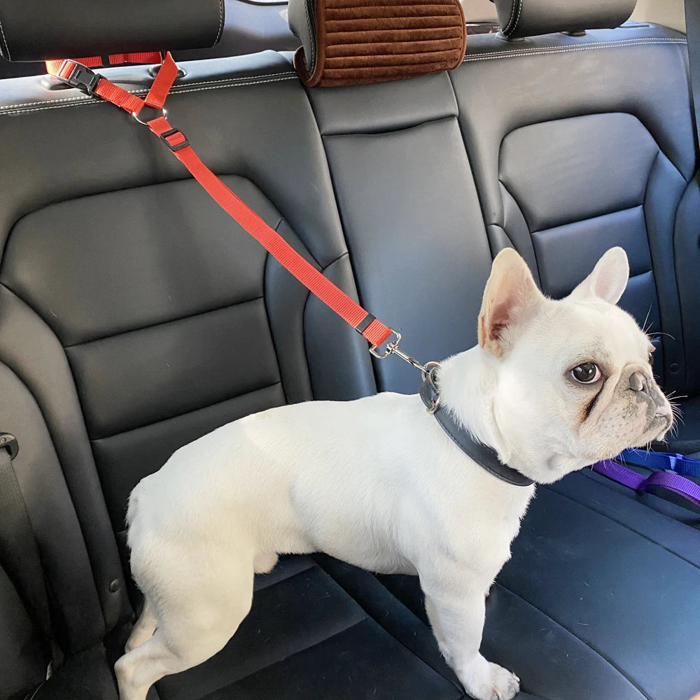 🐾 Two-in-One Dog Harness & Seat Belt 🐾